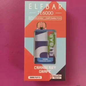 Elfbar RAYA D2 Tobacco 5% Nic - Vape Shop hyderabad
