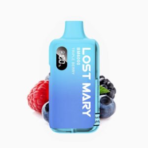 Elfworld 12000 Puffs Mint Menthol Disposable | Vape Store hyderabad