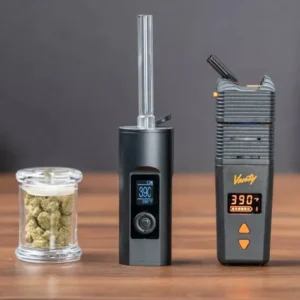 Elfworld 12000 Puffs Mint Menthol - Vape Shop hyderabad